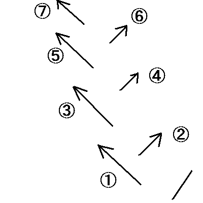 スケートの滑り方の図