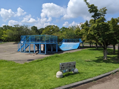 県西総合公園・スケートボード場の画像1
