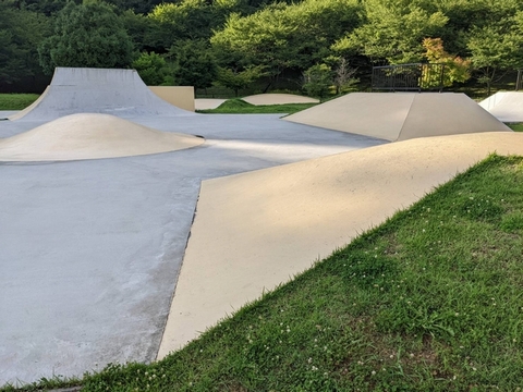 21世紀の森公園・スケートボード広場の画像2