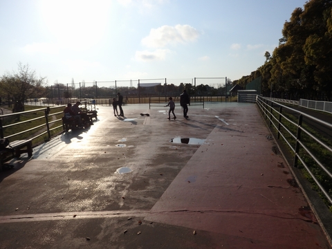 県民健康福祉村スケートエリアの画像1
