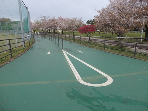 県民健康福祉村スケートエリアの画像2