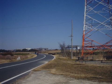 手賀沼のサイクリングロードの画像1