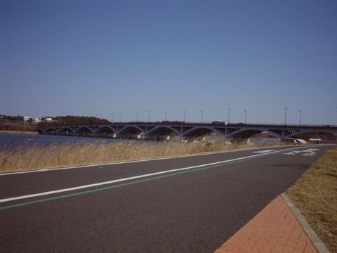 手賀沼のサイクリングロードの画像2