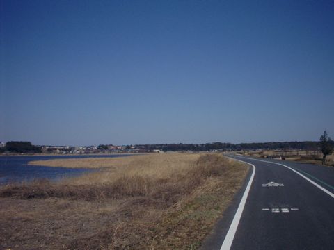 手賀沼のサイクリングロードの画像4