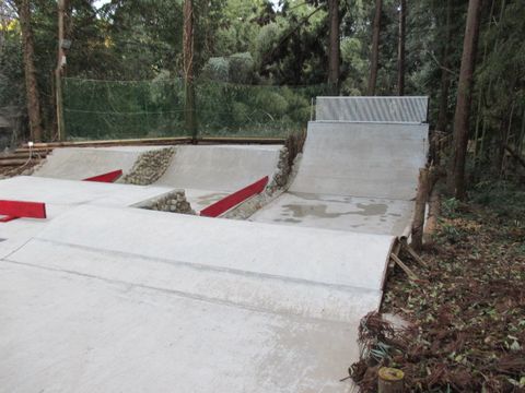 柏しょうなん夢ファーム・スケボパークの画像6