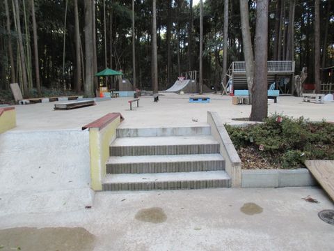 柏しょうなん夢ファーム・スケボパークの画像10