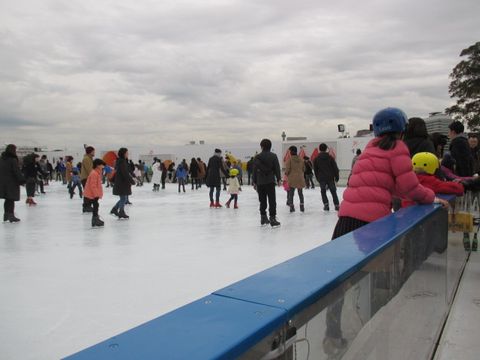 アートリンク「氷上のフルーツポンチ」の画像2