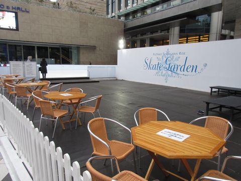 二子玉川ライズ スケートガーデンの画像2