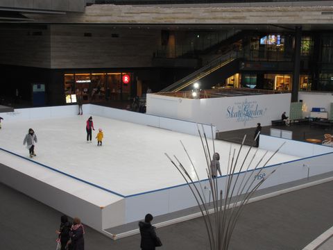 二子玉川ライズ スケートガーデンの画像3