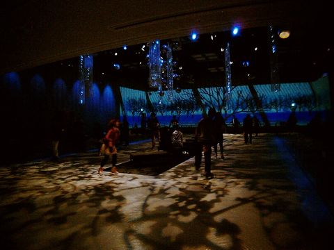 表参道HISスケーティングシアターの画像2